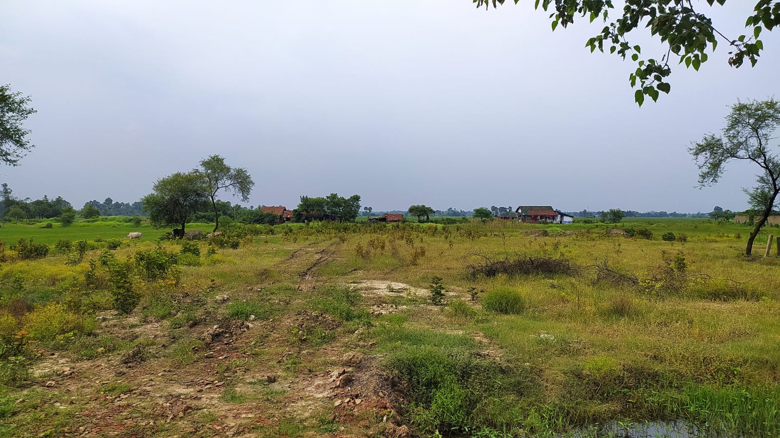 Land For Sale in Diamond Harbour2 South 24 Parganas